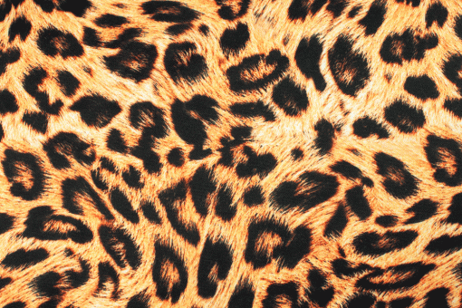 Sportswear Stoff - Leoparden-Print 