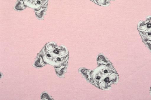 Sommersweat Superprint - Hundeparty - Rosa 