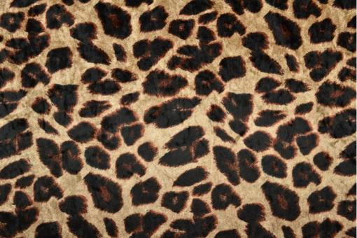 Stretch-Samt - Leoprint 