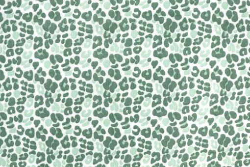 Double Gauze - Leo Mint 