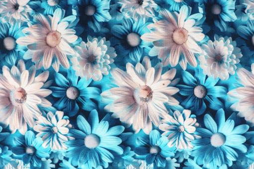 Jersey Superprint - Lino Blu 