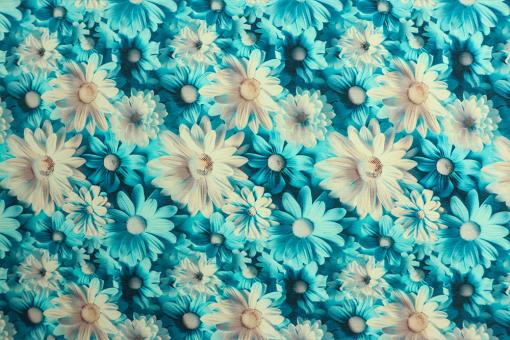 Jersey Superprint - Lino Blu 