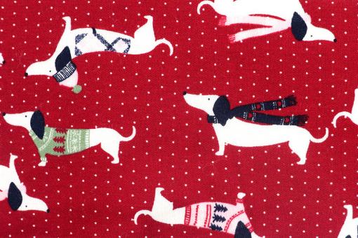 Jerseystoff - Dackel 