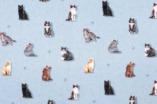 Popeline-Baumwollstoff - Minka 