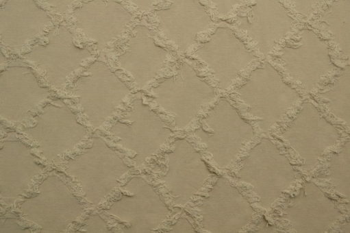 Baumwollstoff mit Fransen bestickt - Sand 