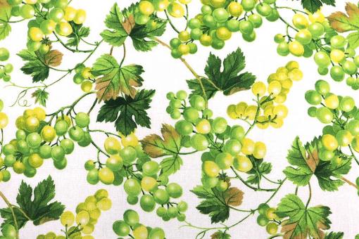 Baumwollstoff mit Weintrauben 