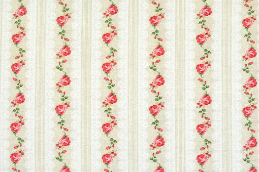 Dekostoff - Röschen in Streifen - Creme - 280 cm 