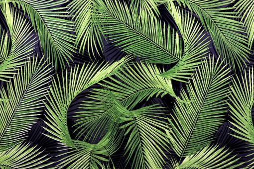 Dekostoff mit Palmblättern 