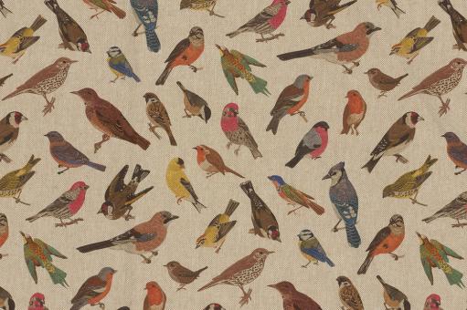 Dekostoff Digitaldruck - Vogel-Vielfalt 