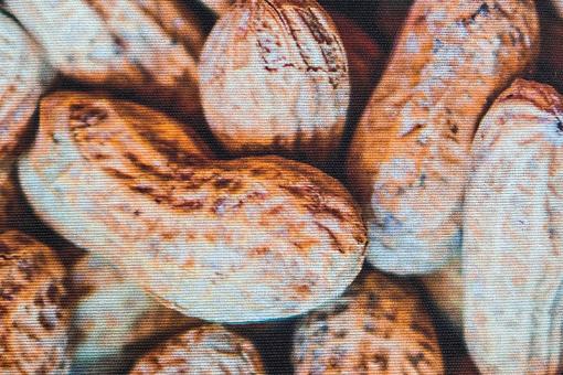 Deluxe Dekostoff mit realistischen Erdnüssen 