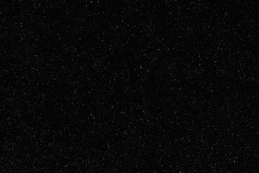 Stretch-Samt - Glitter - Schwarz 