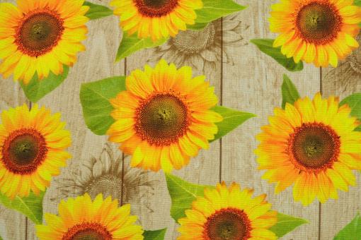 Outdoorstoff Superprint - Dralon® - Sun Flowers 
