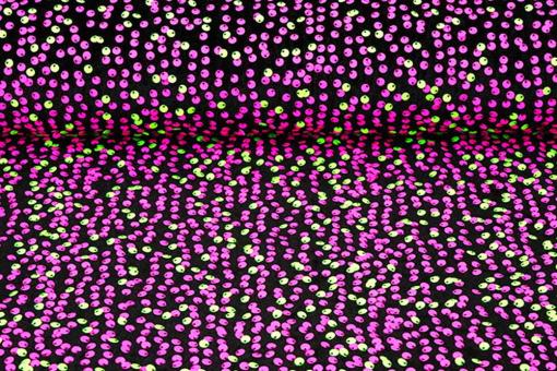 Samt-Stoff deluxe - Neon-Pailletten 