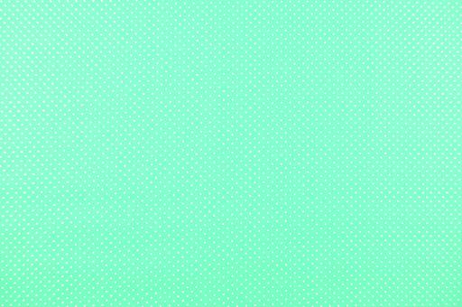 Patchwork-Stoff Classic - Pünktchen - Mint/Weiß 
