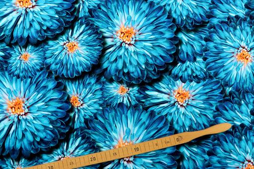 Jersey Stoff mit blauen Blumen 