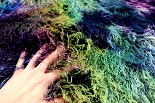 Zottelfell in verrückten Farben 