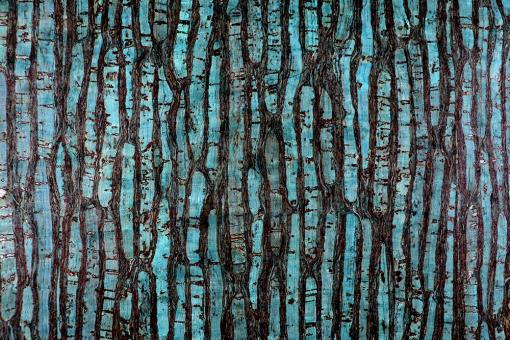 Deluxe Kork-Stoff - Petrol 