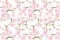 morepic-2