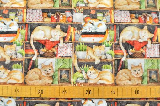 Baumwollstoff - Katzen im Bücherregal 