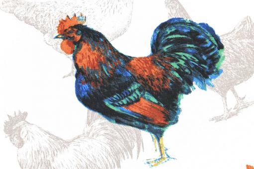 Baumwollstoff - Gallos 