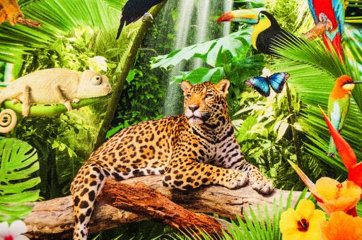 Deko-Stoff Digitaldruck - Tiere des Dschungels 