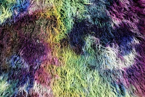 Zottelfell in verrückten Farben 