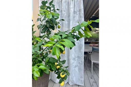 Gardinenstoff Outdoor - Tropic - 315 cm 