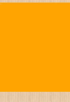 Stoff-Zuschnitt 308203 