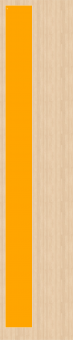 Stoff-Zuschnitt (Ultraschall-Schnitt) 313522 