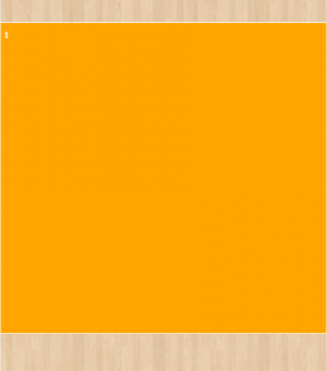 Stoff-Zuschnitt 314545 