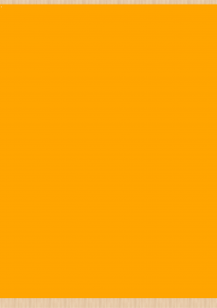 Stoff-Zuschnitt 425713 