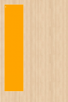 Stoff-Zuschnitt 551617 