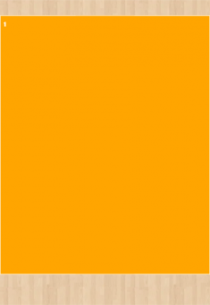 Stoff-Zuschnitt 552509 