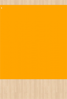 Stoff-Zuschnitt (Ultraschall-Schnitt) 554822 