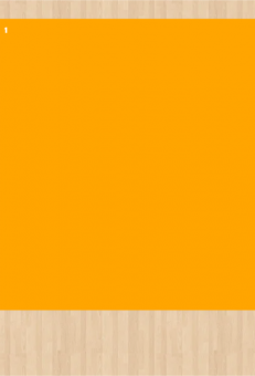 Stoff-Zuschnitt 555427 