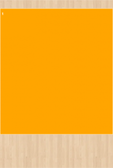 Stoff-Zuschnitt 557044 