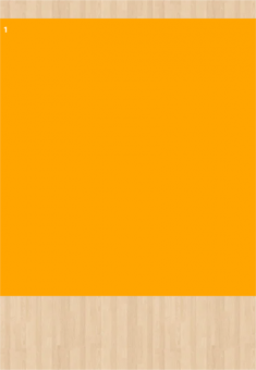 Stoff-Zuschnitt 568133 