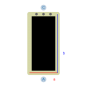 morepic-1