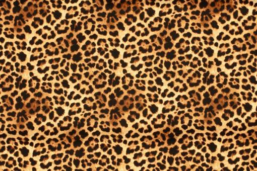Badehosenstoff - Safari Splash 