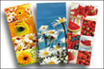 textile Banner
